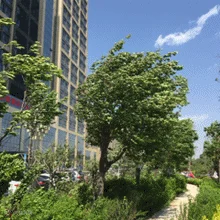912f6767685315ee96a0723f30a8531a-sz_889602.gif