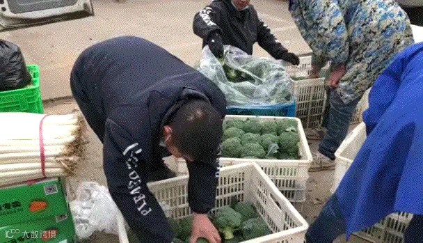 111111.jpg