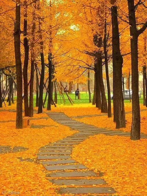 http://7xo6kd.com1.z0.glb.clouddn.com/upload-ueditor-image-20161207-1481101306151038894.jpg