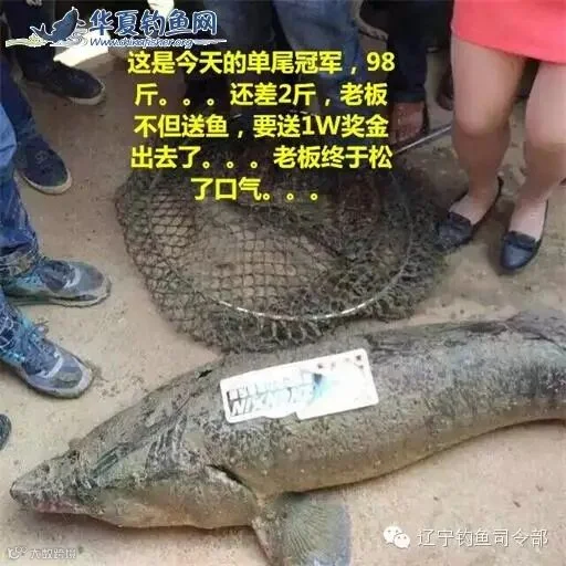 27_看图王.jpg