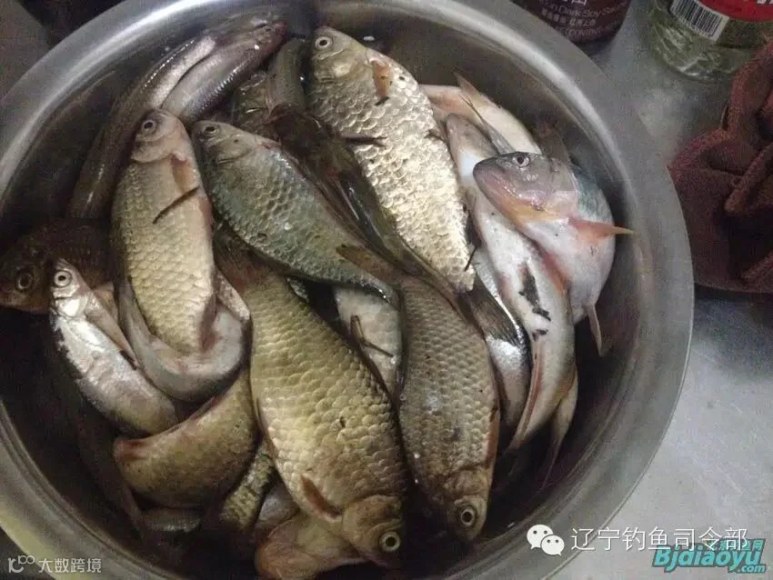 渔获22