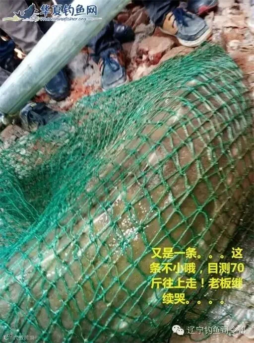 19_看图王.jpg