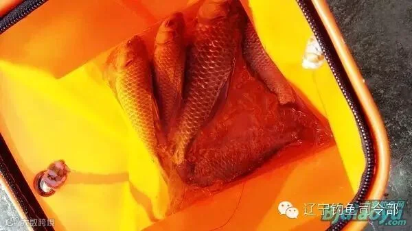nEO_IMG_QQ图片20150212220425.jpg