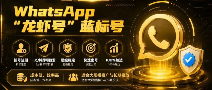 快速获取WhatsApp客户的黑科技工具