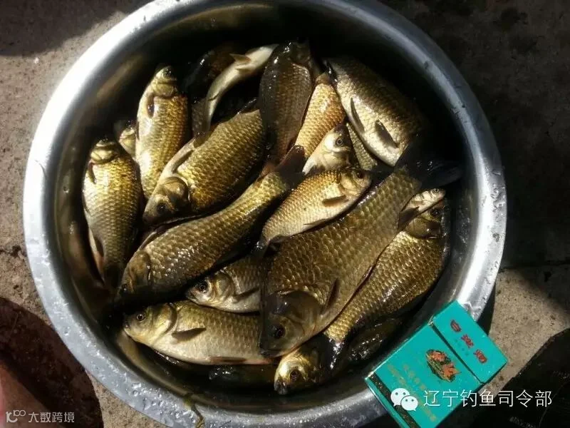 草原游钓01.jpg
