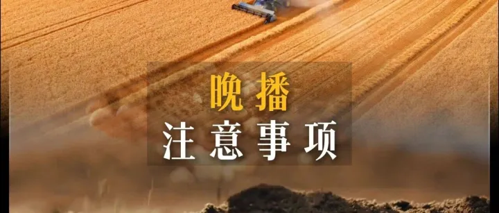 晚播小麦促分蘖7大核心技巧，稳产增收有保障