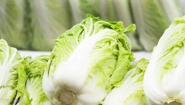 大白菜上的黑点是什么?还能吃吗?