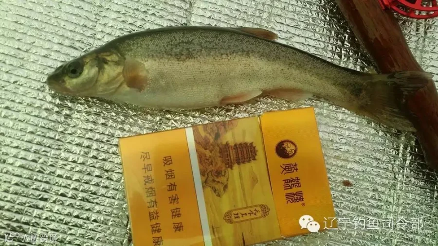 20151223_111128.jpg