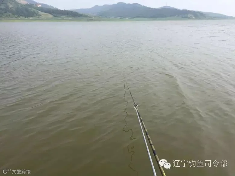 我的钓点 水深2.5米