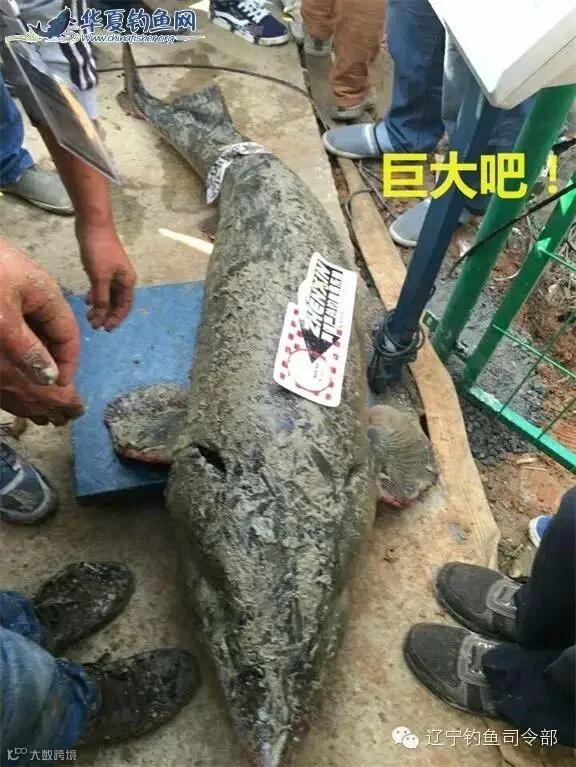 28_看图王.jpg