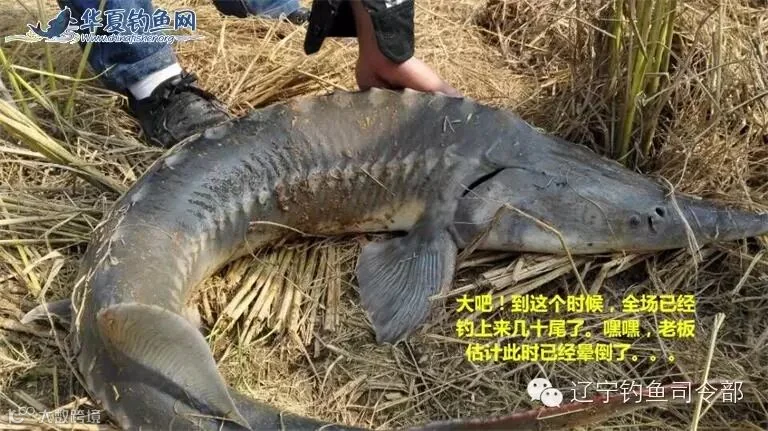 21_看图王.jpg