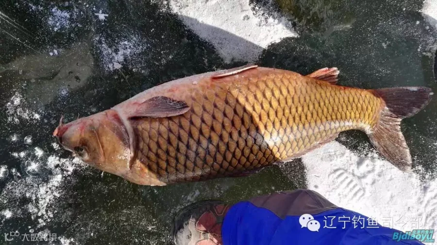 10+的,我脚其实不小