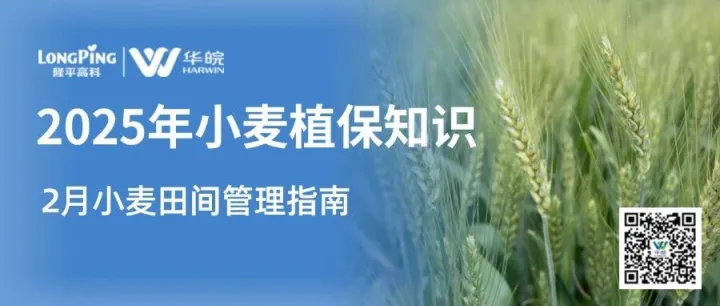 报告|你的田间小助手它来了！2月最新小麦小麦田间管理指南