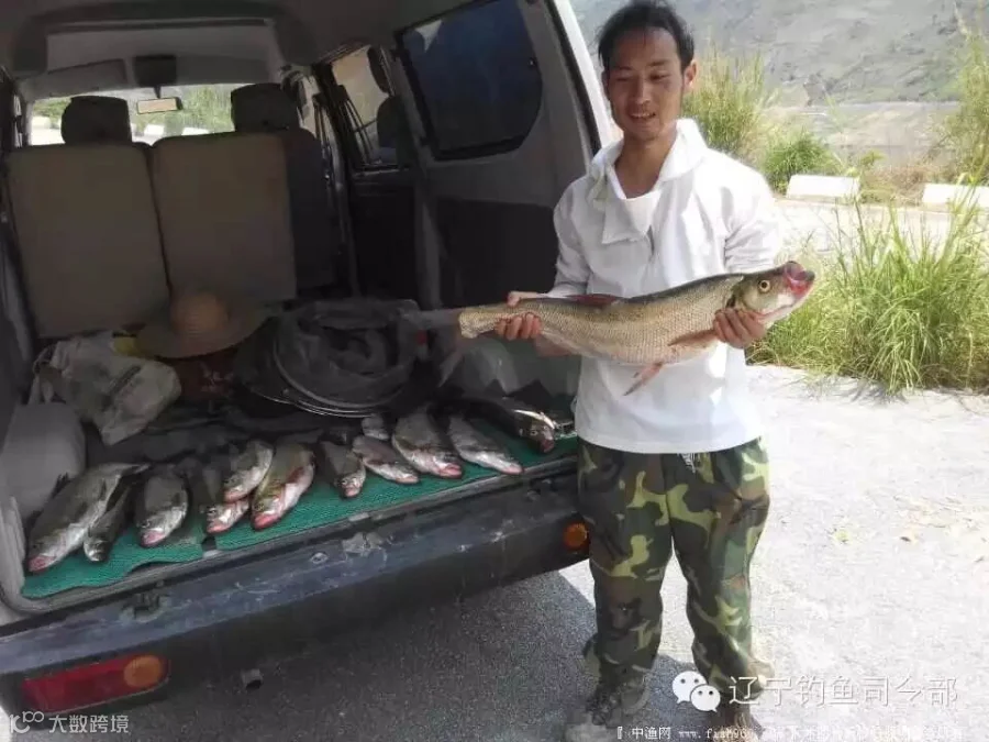 QQ图片20150513101939.jpg