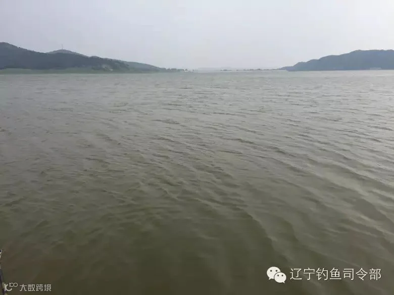 西南风3级 非常适合垂钓