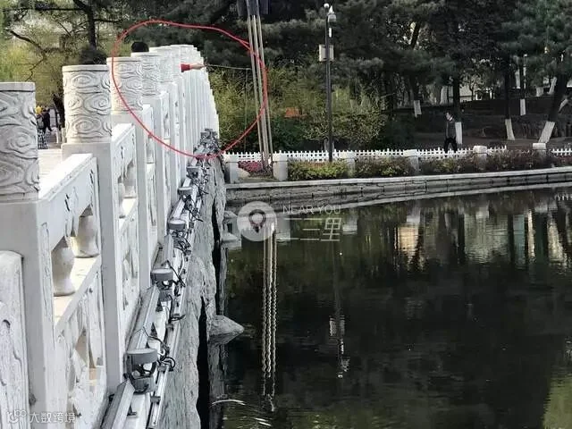 15248348186930274.jpg
