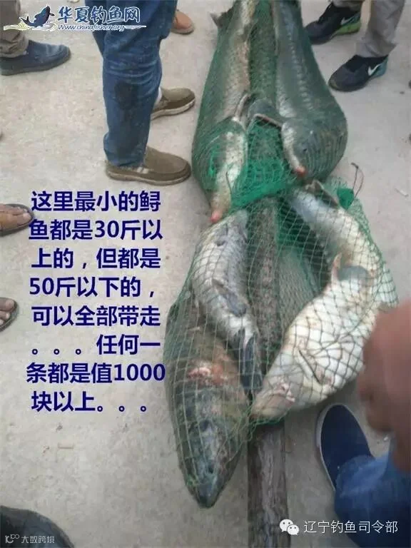 26_看图王.jpg