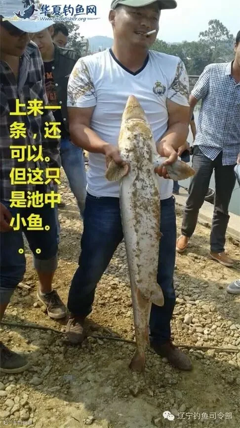 7_看图王.jpg