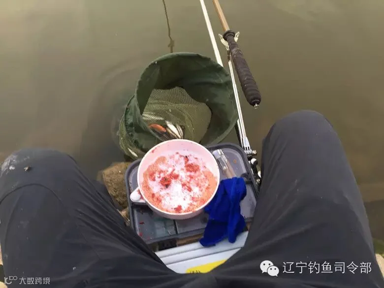 被白鱼折磨中的我