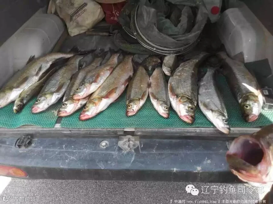 QQ图片20150513102001.jpg