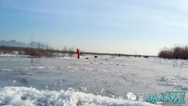 nEO_IMG_QQ图片20150212220255.jpg