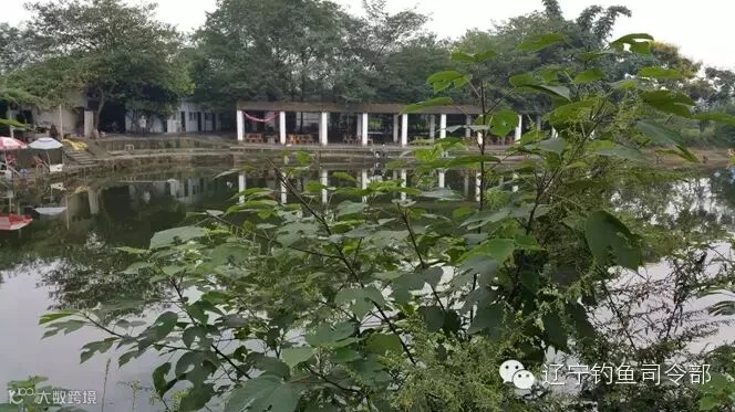 20150918_101659.jpg