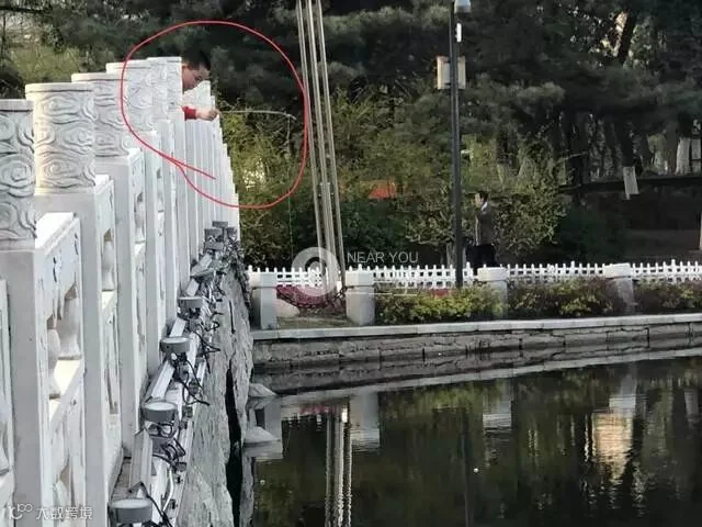 152483474953669820.jpg