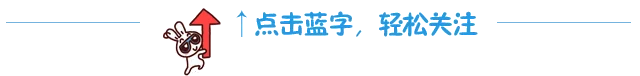 兔子红箭头引导关注
