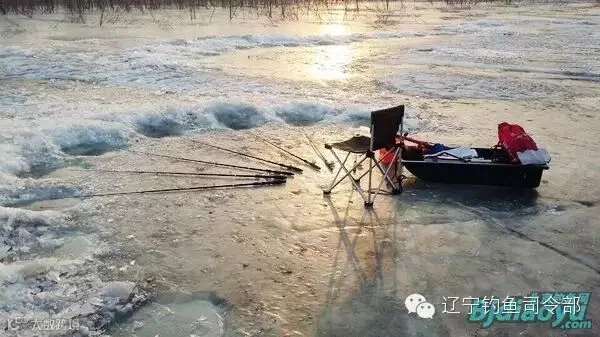 nEO_IMG_QQ图片20150213094825.jpg