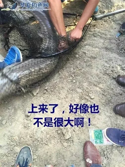 17_看图王.jpg
