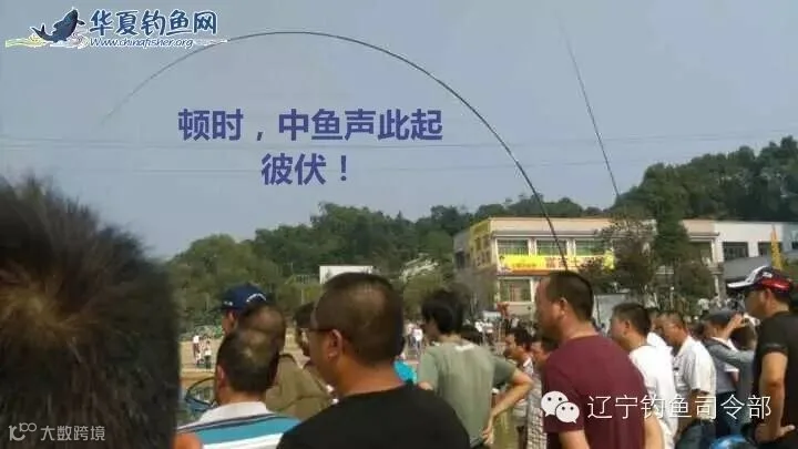 10_看图王.jpg