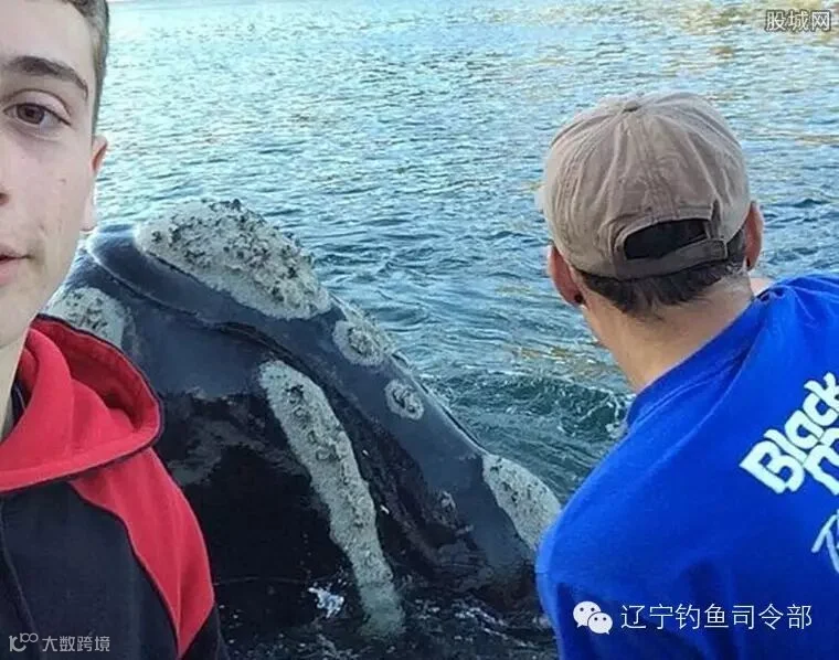 点击图片进入下一页