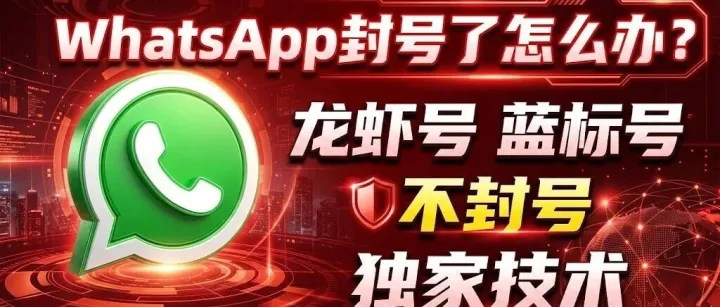 WhatsApp封号的原因？