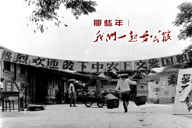 点击查看图片来源