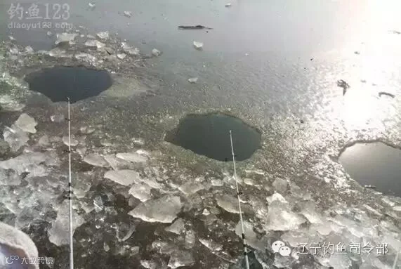 开冰凿洞寻鱼群冰钓鱼货也不错