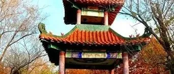 大连研议“协作”普兰店区，联动瓦房店市，辽南都市圈增长提档！
