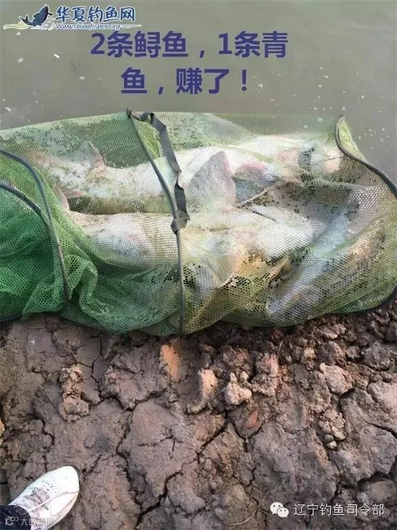 12_看图王.jpg