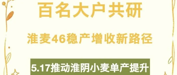 百名大户共研“淮麦46”稳产增收新路径