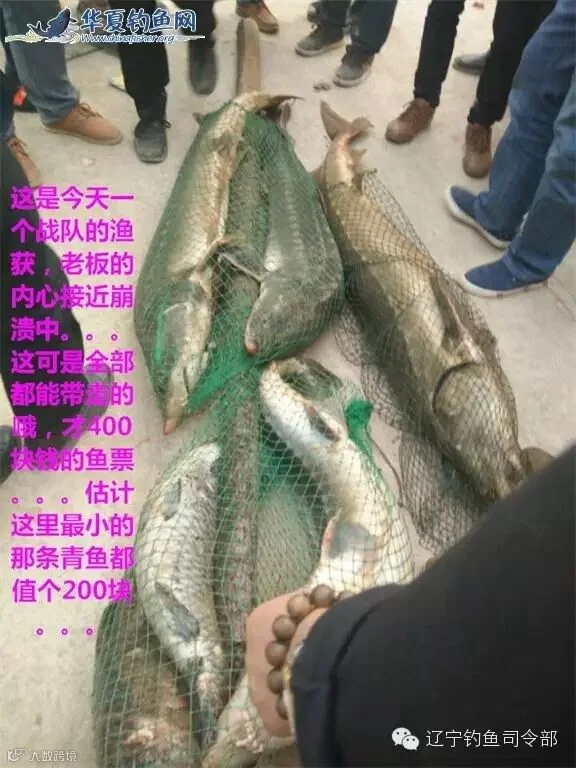 25_看图王.jpg