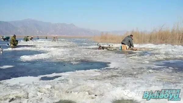 nEO_IMG_QQ图片20150212220551.jpg