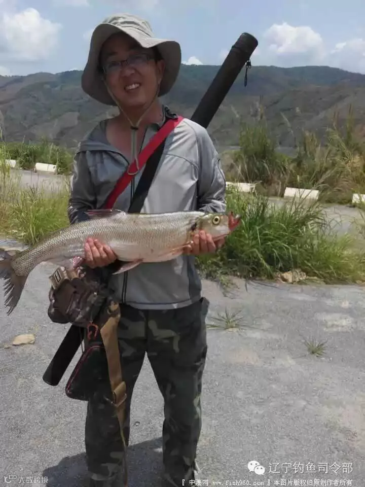 QQ图片20150513102048.jpg