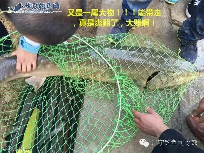 14_看图王.jpg