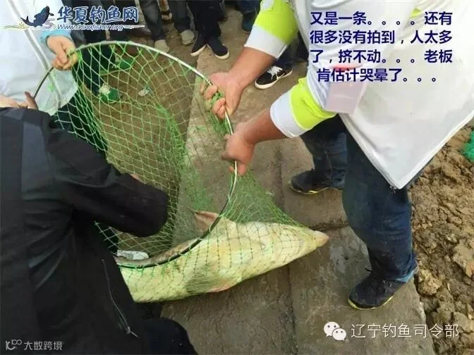 18_看图王.jpg