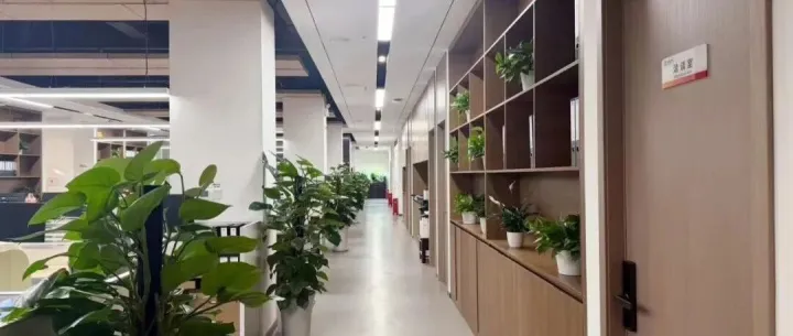 6S管理显成效！光伏公司交出阶段性答卷