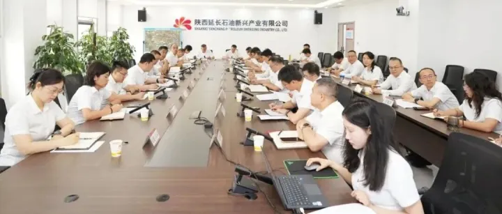 新兴产业公司召开5月份月度总结会