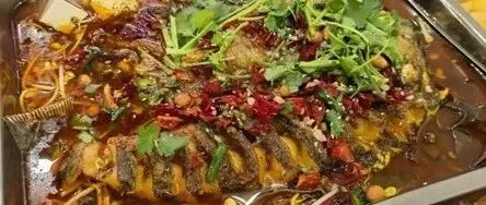 中国“最爱吃烤鱼”的城市？外地人第一次聚餐差点被辣香包围：越烫越想吃