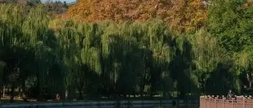 蚌埠又出现什么问题，本来能和<em>淮南</em>打个平手，自己先熄火，被<em>淮南</em>甩一大截!