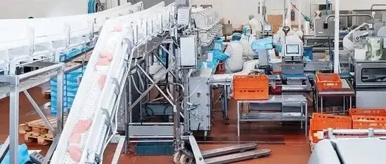 山东济宁食品厂如今有点焦虑了：曾经卡住了不少低端代工厂，如今国产食品的生产标准早就不输它
