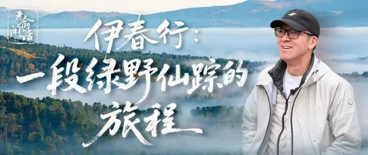 老俞闲话丨<em>伊春</em>行：一段绿野仙踪的旅程