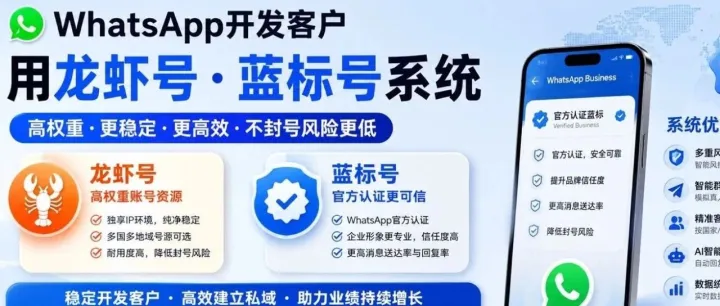 WhatsApp开发客户技巧